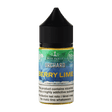 Orchard Blends ICE Salts - Berry Lime - Vapoureyes